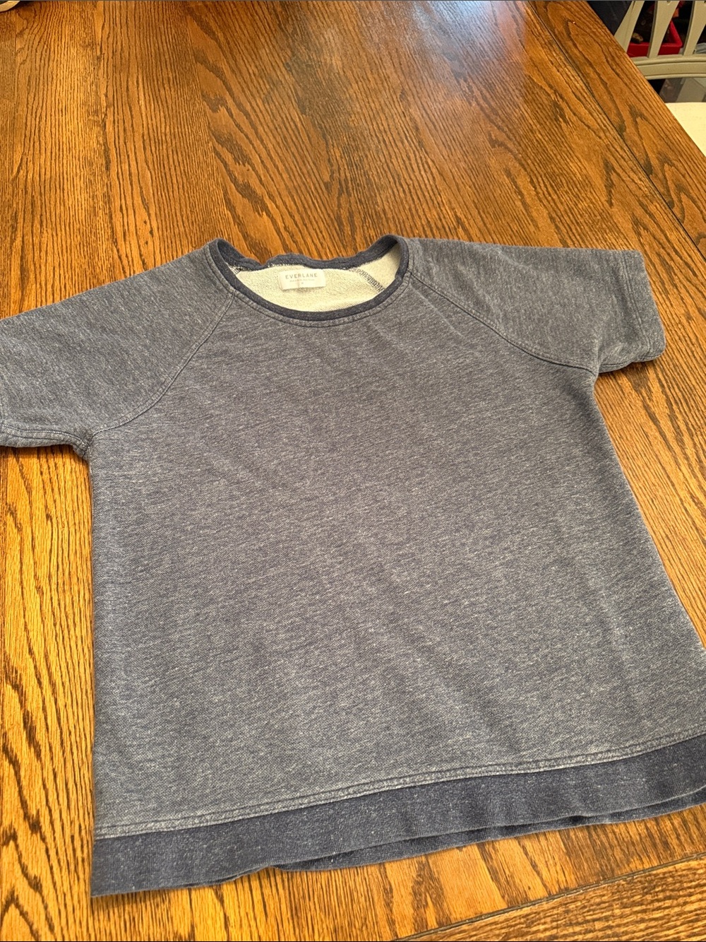 Everlane Short Sleeve Sweatshirt French Terry Cotton M Heather Blue Relaxed Tee